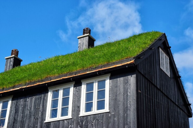 Green Roof