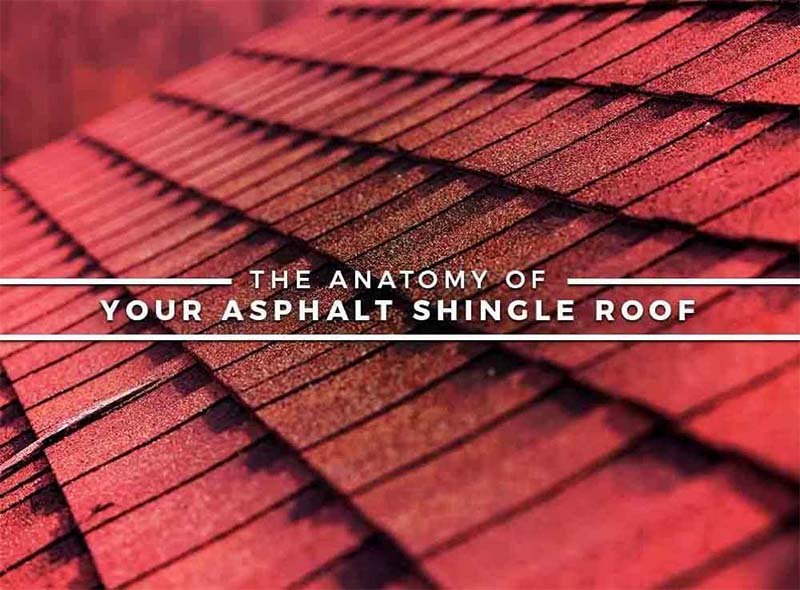 Anatomy of Asphalt Shingles